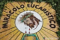 VBS_9660 - Infiorata di Villanova d'Asti 2023
